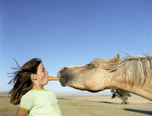 Girl Horse 1