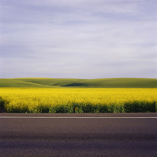 White Line