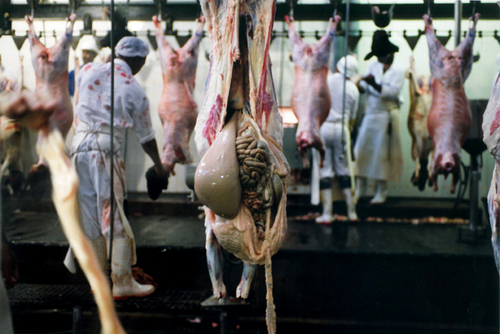 Slaughter (3)