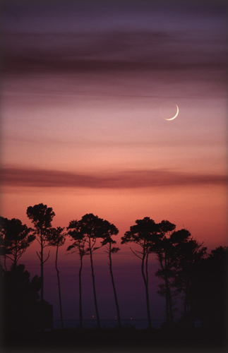 Kiptopeke