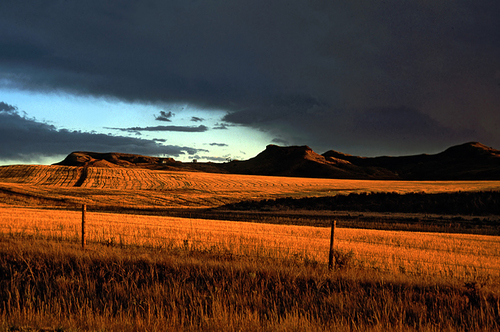 Wyoming Storm