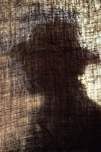 Cowboy and Burlap Window