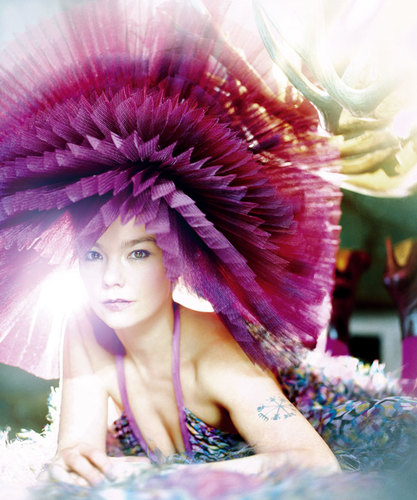 Bjork (1)