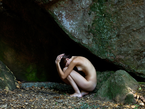 Looking for Shelter
