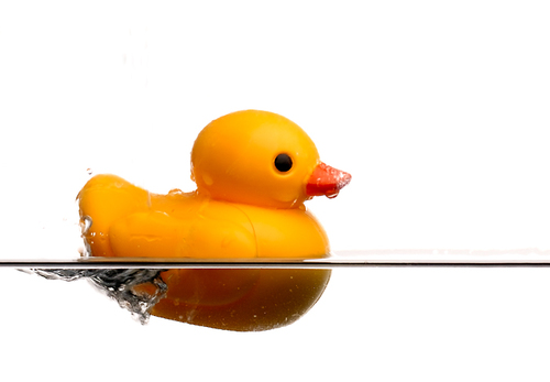Duckling