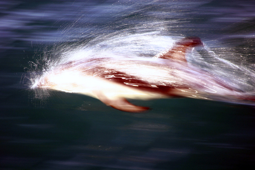 Motion