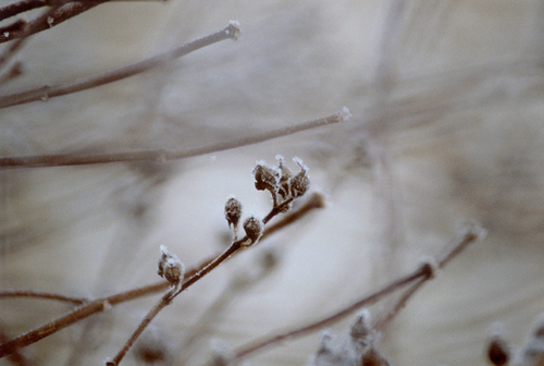 Quiet Shiver