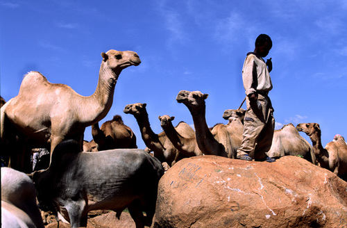 Ethiopia (4)