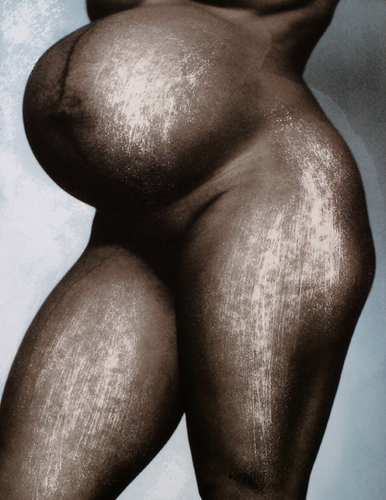 Torso