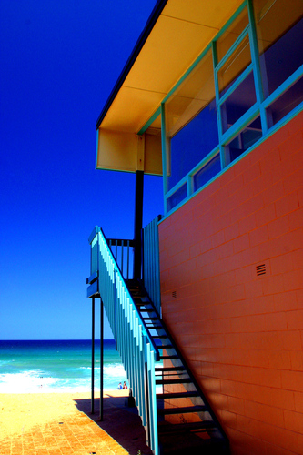 Avalon Surf Club