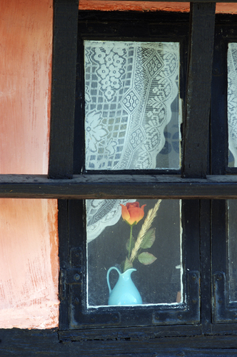 Window Flower in Blue Vase