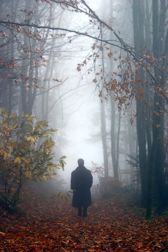 The Stranger
