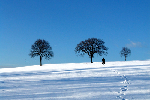 Winter Solitude