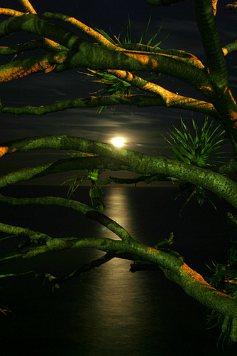 Moon Over Burleigh