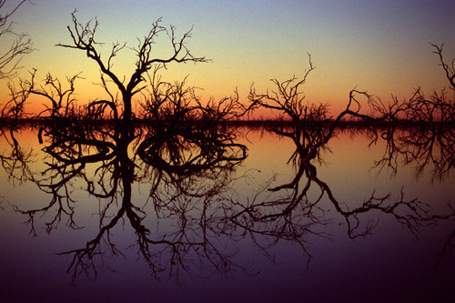 Menindie Lakes, NSW, Australia 