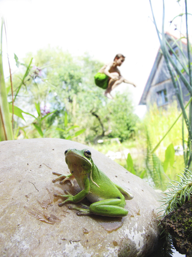 Frog Design