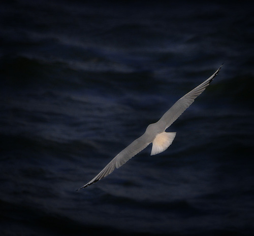 A Perfect Glide