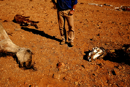 Australian Drought