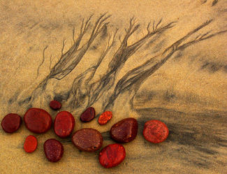 Color Awards Winners and Nominees