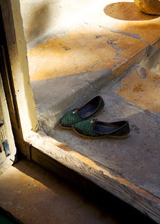 Color Awards Winners and Nominees