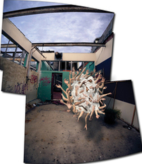 Color Awards Winners and Nominees