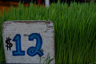 Color Awards Winners and Nominees