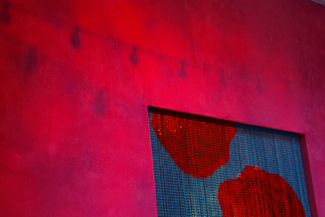 Color Awards Winners and Nominees