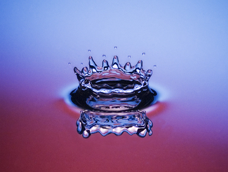 Color Awards Winners and Nominees