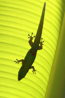 Color Awards Winners and Nominees