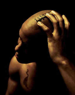 Color Awards Winners and Nominees