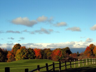 Color Awards Winners and Nominees