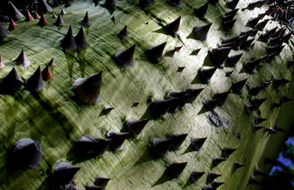 Color Awards Winners and Nominees