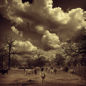 Color Awards Winners and Nominees