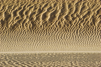 Color Awards Winners and Nominees