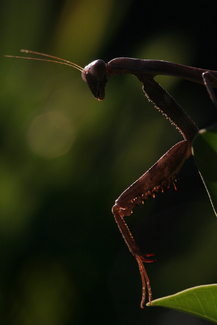 Color Awards Winners and Nominees