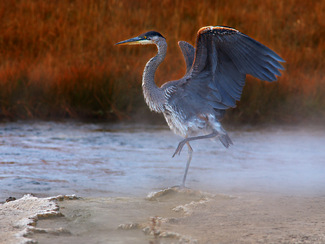 Color Awards Winners and Nominees