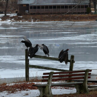 Color Awards Winners and Nominees