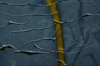 Color Awards Winners and Nominees