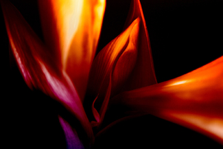 Color Awards Winners and Nominees