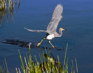 Color Awards Winners and Nominees