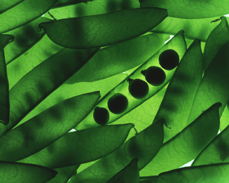 Color Awards Winners and Nominees