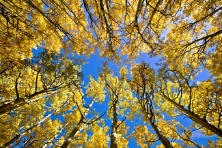 Color Awards Winners and Nominees