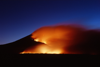 Color Awards Winners and Nominees