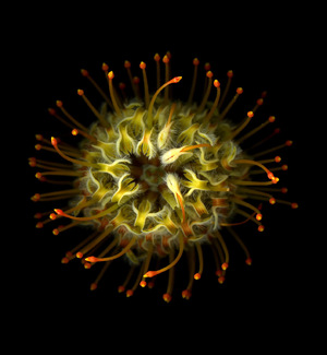 Color Awards Winners and Nominees