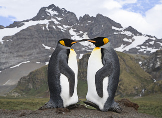 Color Awards Winners and Nominees