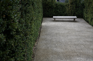 Color Awards Winners and Nominees