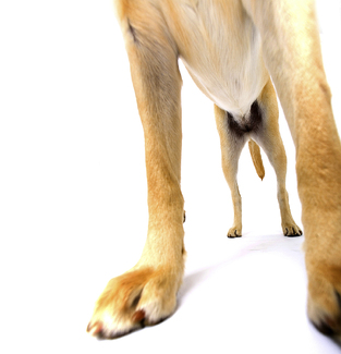 Color Awards Winners and Nominees