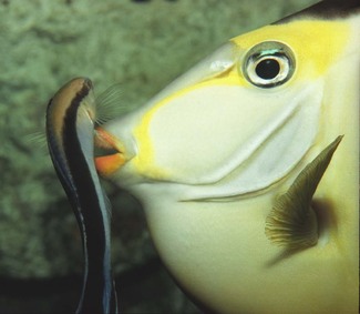 Color Awards Winners and Nominees