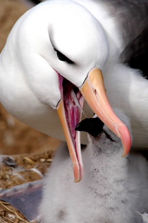 Color Awards Winners and Nominees