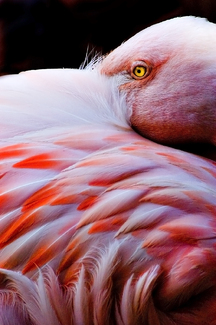 Color Awards Winners and Nominees